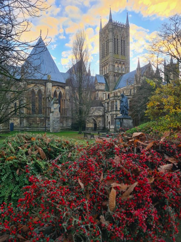 An autumnal view through the red berry bush of the Lincoln Cathedral.