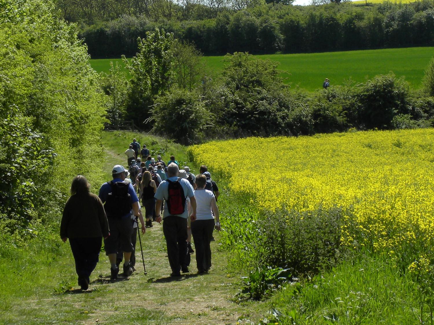 Lincolnshire Wolds Walking Festival Heritage Lincolnshire